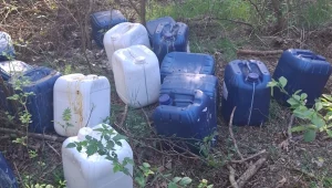 W Wielkopolsce znaleziono w lesie 30 pojemników z rozpuszczalnikami