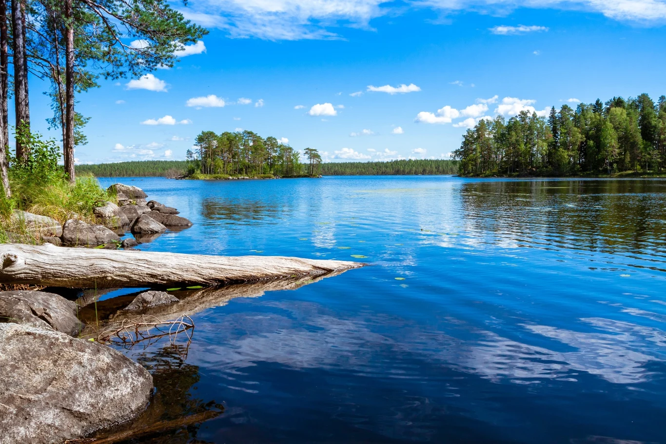 Jezioro o spokojnej tafli wody otoczone lasem, kamienisty brzeg z dużym powalonym pniem drzewa i jasnym niebem z nielicznymi chmurami.