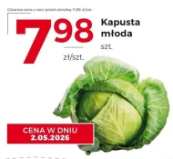 Kapusta młoda