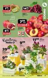 Wiosenne okazje na co dzień – Netto