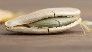 Garstka dziennie wystarczy. To "najbardziej kobiece" nasiona