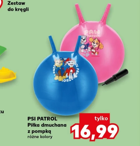 Надувний м'яч Psi Patrol