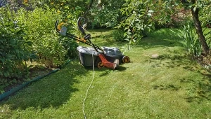 Przeprowadź ważne zabiegi, które uratują twój trawnik po zimie i wiosennych przymrozkach