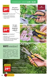 Hity i inspiracje - Biedronka