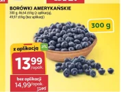 Borówki amerykańskie