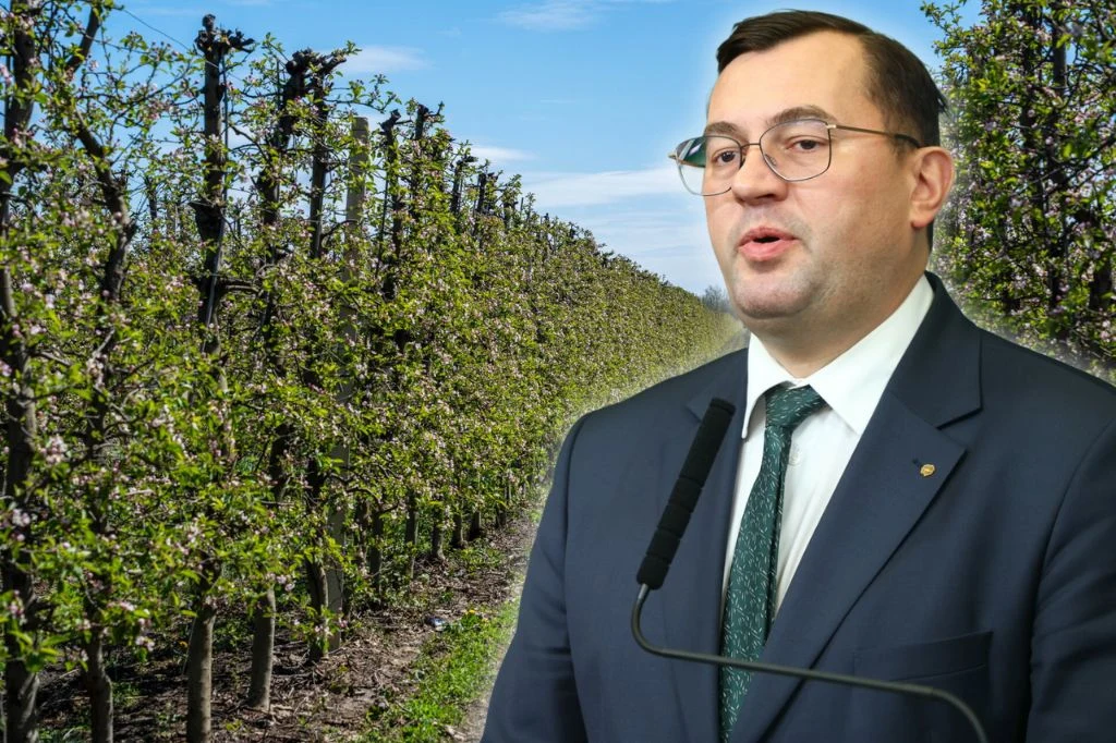 Krajewski zapowiada wsparcie dla rolników. Sady dotknęła fala przymrozków Minister rolnictwa Stefan Krajewski na tle sadu.