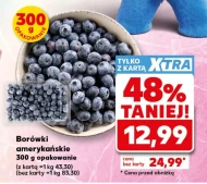 Borówki amerykańskie