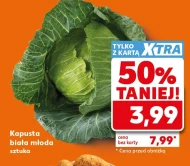 Kapusta młoda