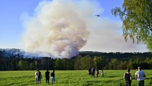 Około 100 ha lasu objął pożar lasu w czeskim parku narodowym