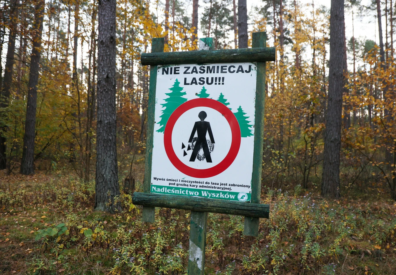 W sieci trudno o bezkarność. Nagranie zdradziło zaśmiecających las