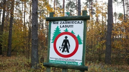 W sieci trudno o bezkarność. Nagranie zdradziło zaśmiecających las