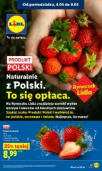  To się opłaca! - Lidl