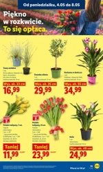  To się opłaca! - Lidl