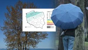 Zmiana po słonecznej majówce. Możliwy deszcz i przelotne burze