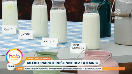 Krowie czy roślinne? Dietetyk rozwiewa mity o mleku