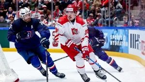 Thriller w starciu Polski z Francją, złoty gol anulowany. Decydowały karne