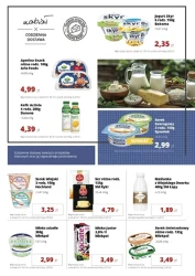 Sezon na działkowy czas! - Torimpex