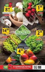 Super ceny na co dzień – Arhelan