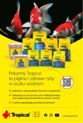 Okazje dla pupili – Aquael Zoo