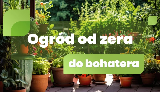 Ogród od zera do bohatera
