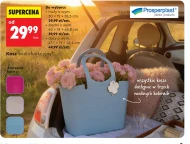 Універсальний кошик Prospertplast