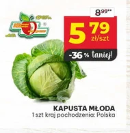 Kapusta młoda