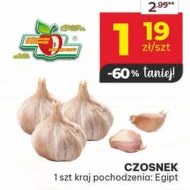 Czosnek