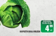 Kapusta młoda