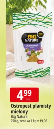 Ostropest plamisty Big Nature
