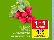 Rzodkiewki