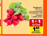 Rzodkiewki S!
