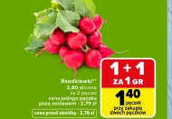 Rzodkiewki