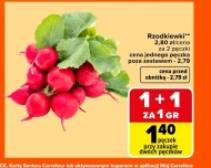 Rzodkiewki Carrefour