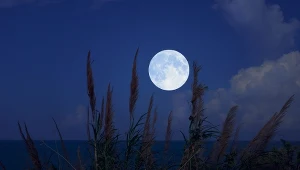 Podwójna pełnia Księżyca w maju. Te znaki zodiaku szczególnie ją odczują