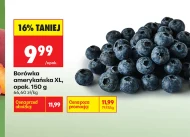 Borówka amerykańska K!