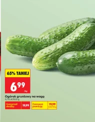 Огірок