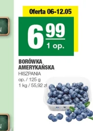 Borówka amerykańska