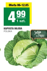 Kapusta młoda Polski