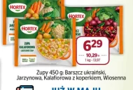 Zupa mrożona Hortex