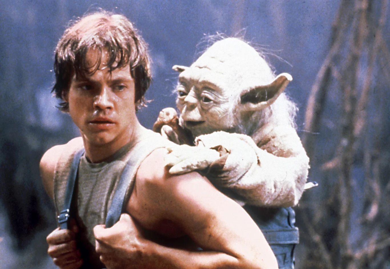 Mark Hamill w filmie "Gwiezdne wojny: Imperium kontratakuje" Młody mężczyzna niesie na plecach małą, zieloną postać o dużych uszach, oboje są skupieni i przebywają w otoczeniu przypominającym mokradła lub las.