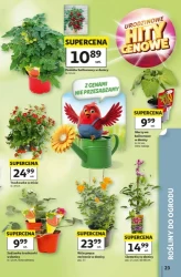 Urodzinowe hity cenowe - Auchan Hipermarket