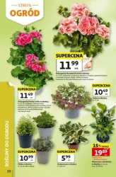 Urodzinowe hity cenowe - Auchan Hipermarket