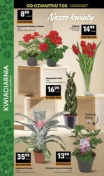 Superoferta grillowa - Delikatesy Centrum