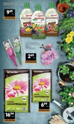 Superoferta grillowa - Delikatesy Centrum