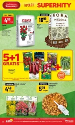 Superity! - POLOmarket