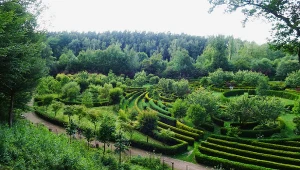 Co to jest Arboretum Bramy Morawskiej? Wyjątkowe miejsce krainy Górnej Odry