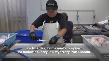Czy australijski tuńczyk i owoce morza nadają się do spożycia?