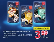 Przysmak dla kota Felix