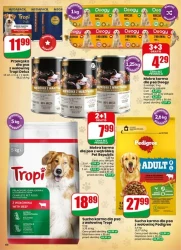 Zakupy w dobrej cenie – Dino