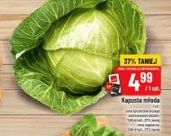 Kapusta młoda